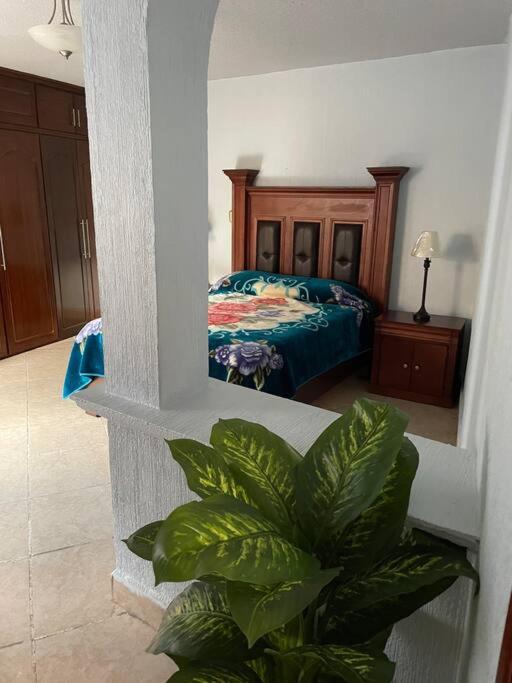 Photo of Bedroom in Ezequiel Montes