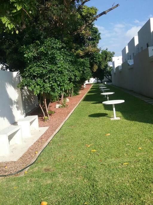 Photo of Others in Yautepec