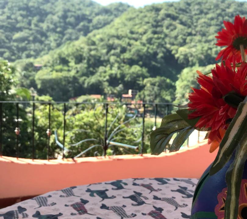 Photo of Patio Balcony in Boca de Tomatlan