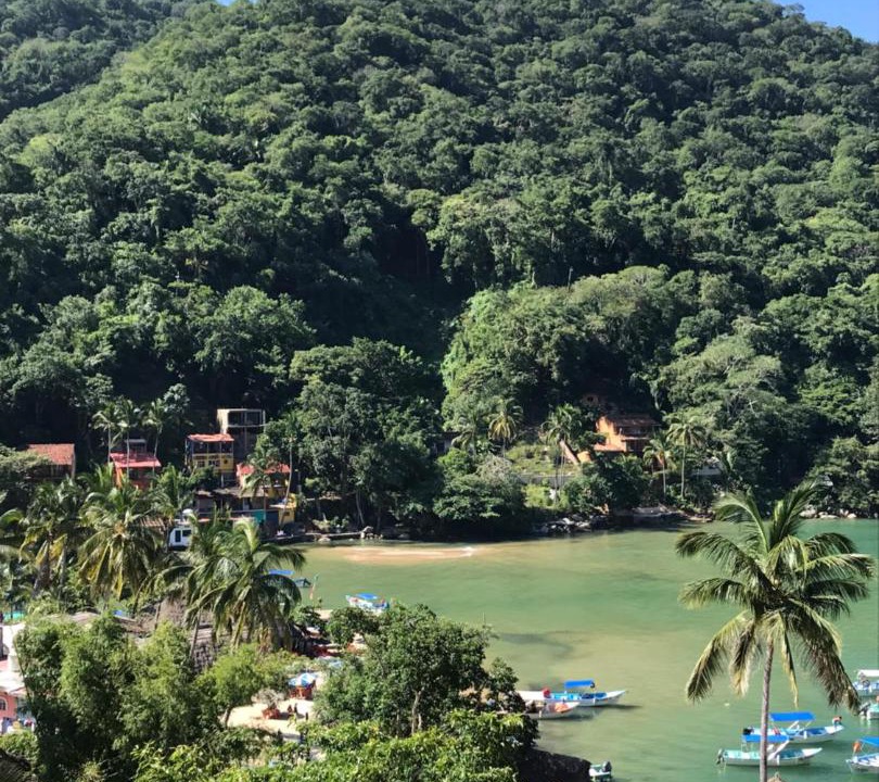 Photo of Others in Boca de Tomatlan