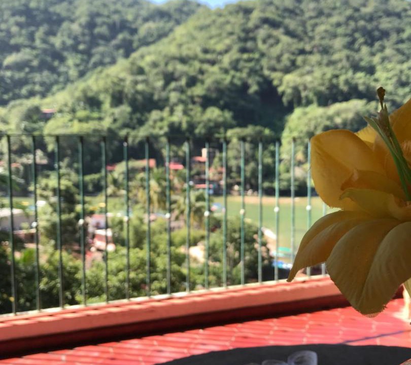 Photo of Others in Boca de Tomatlan
