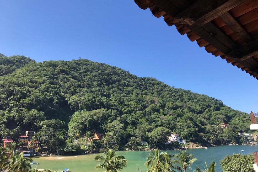 Photo of Others in Boca de Tomatlan