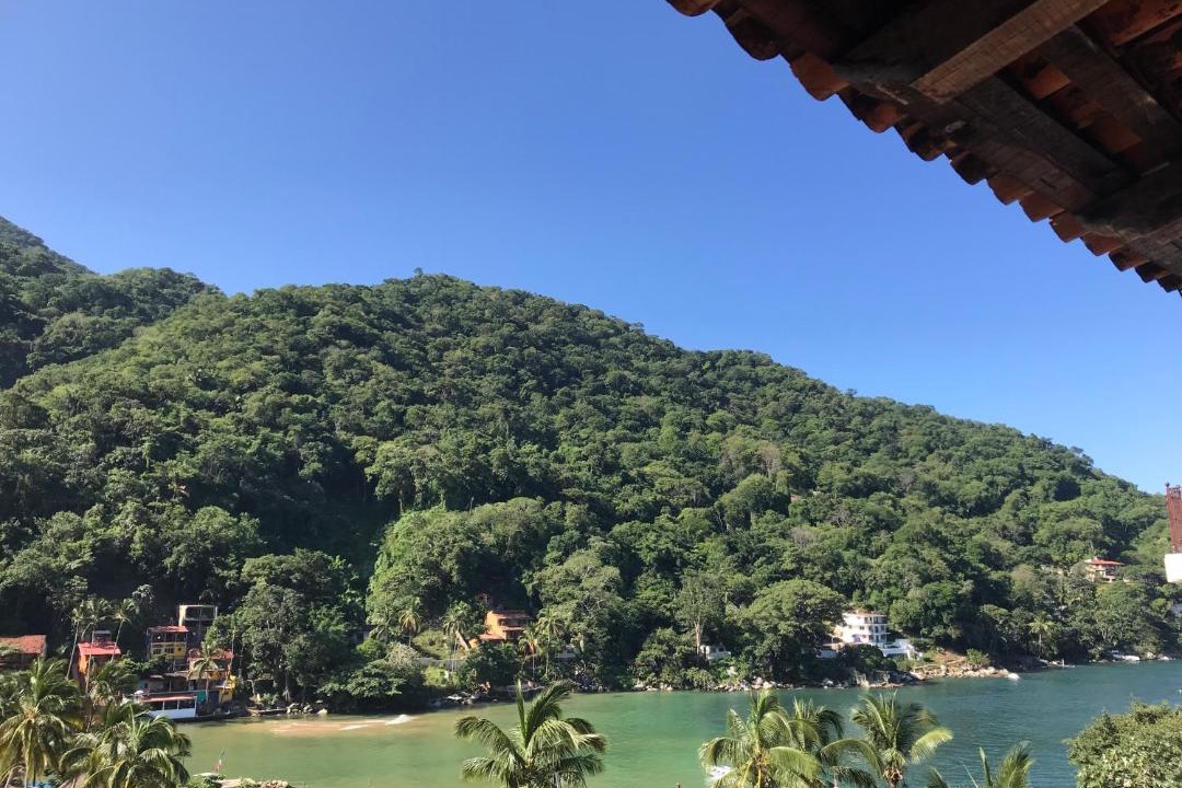 Photo of Others in Boca de Tomatlan