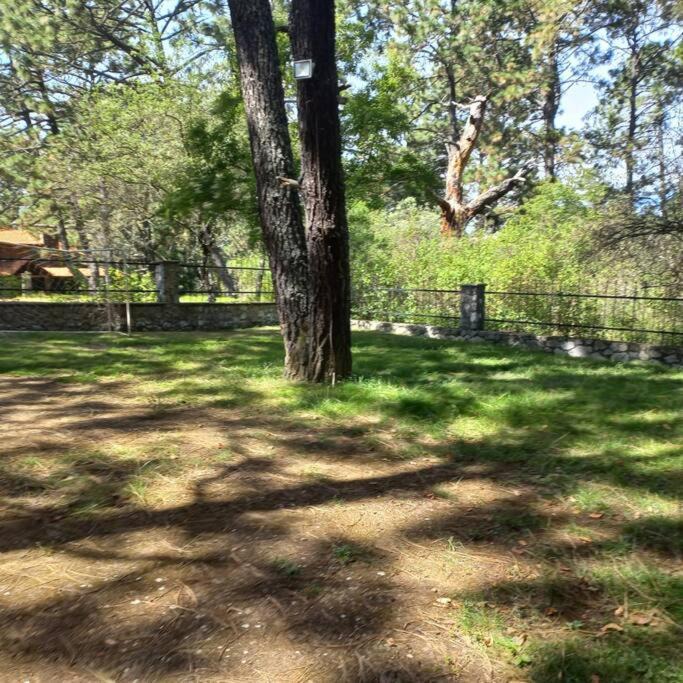Photo of Outdoor in Tapalpa