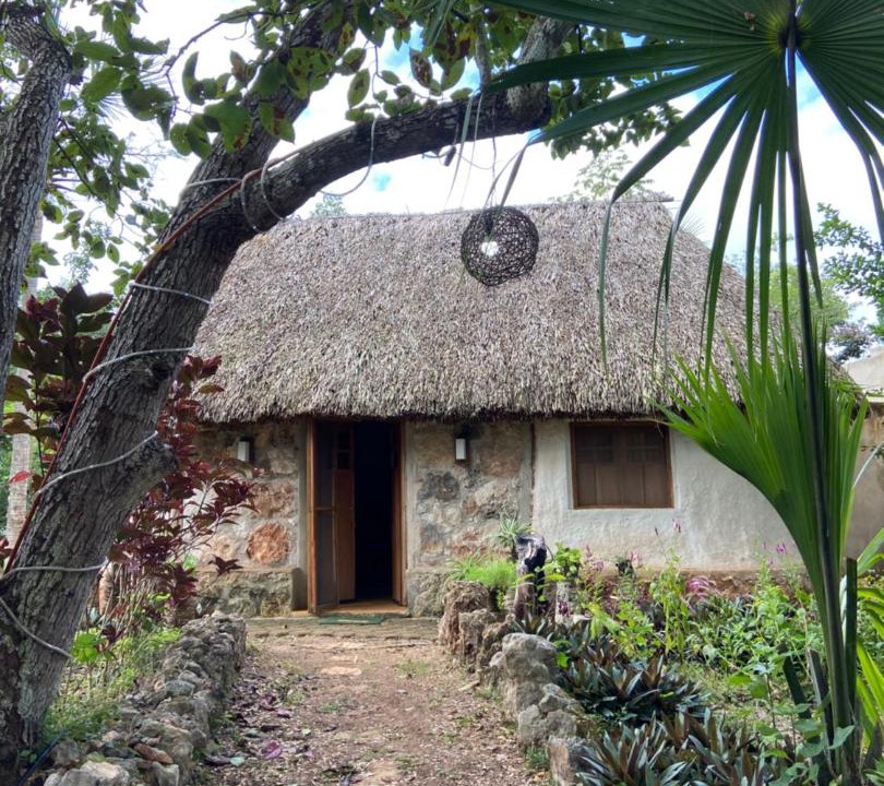 Photo of Buildings in Tzucacab