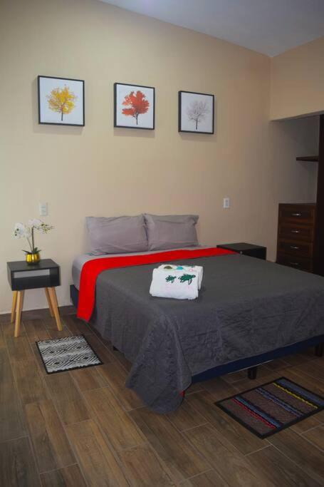 Photo of Livingroom in Mazunte