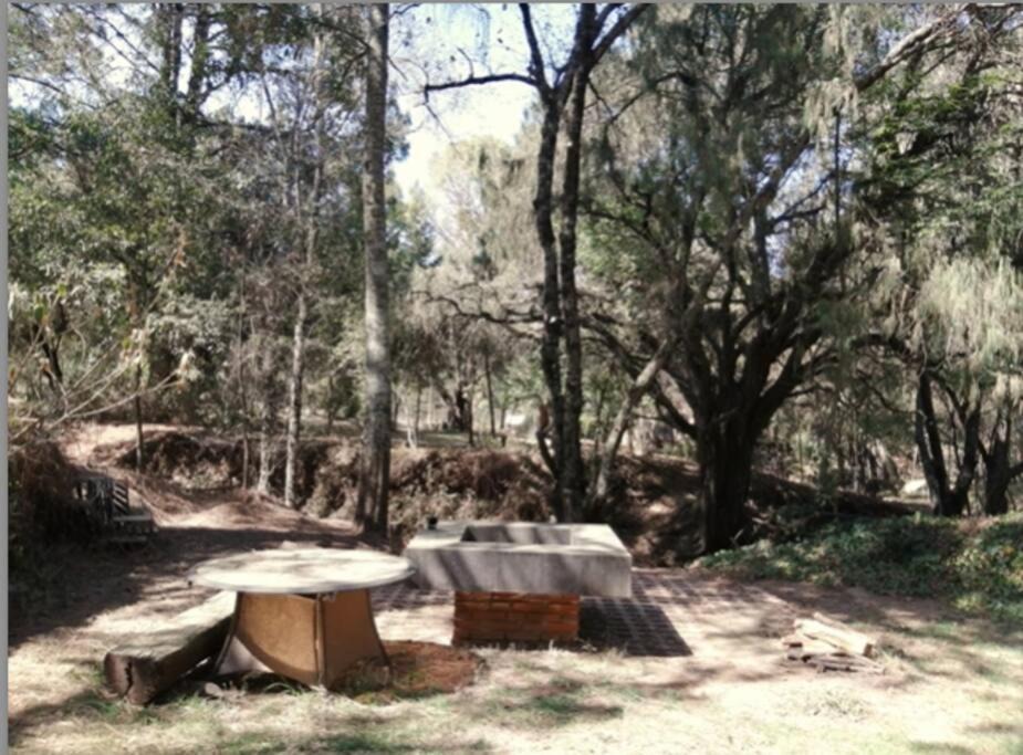 Photo of Buildings in Huasca De Ocampo