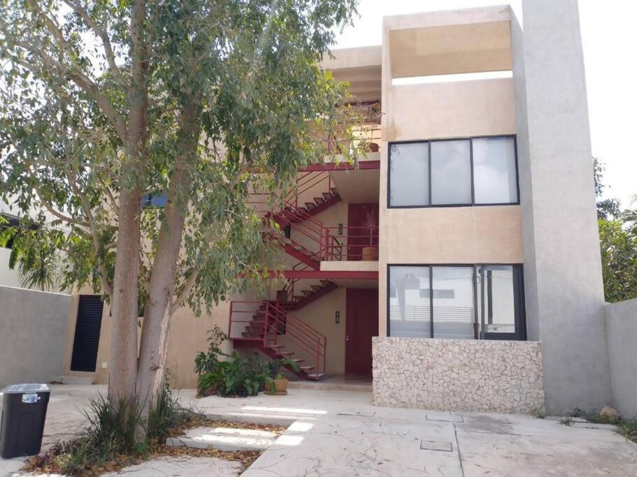 Photo of Buildings in Merida Municipality