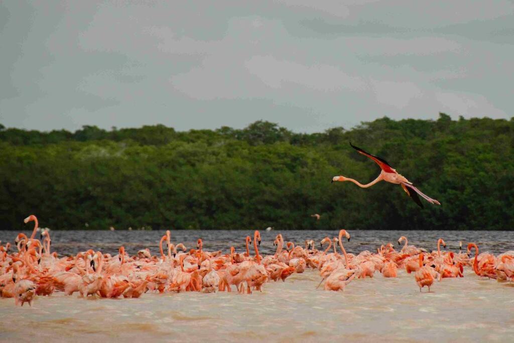 Photo of Others in Merida Municipality
