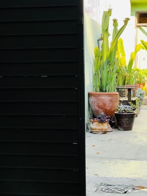 Photo of Patio Balcony in Fraccionamento Bahia