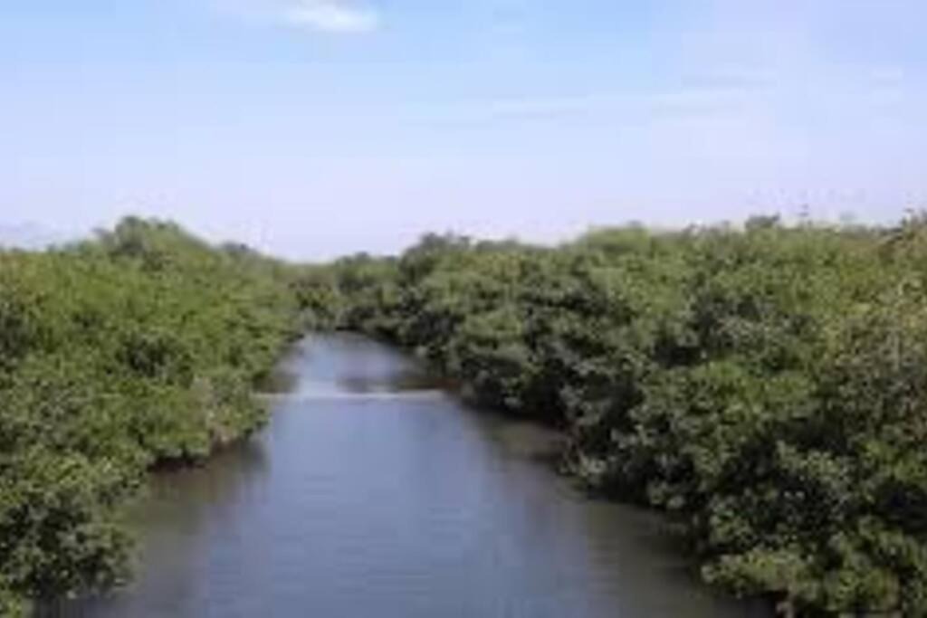 Photo of Outdoor in Tecolutla