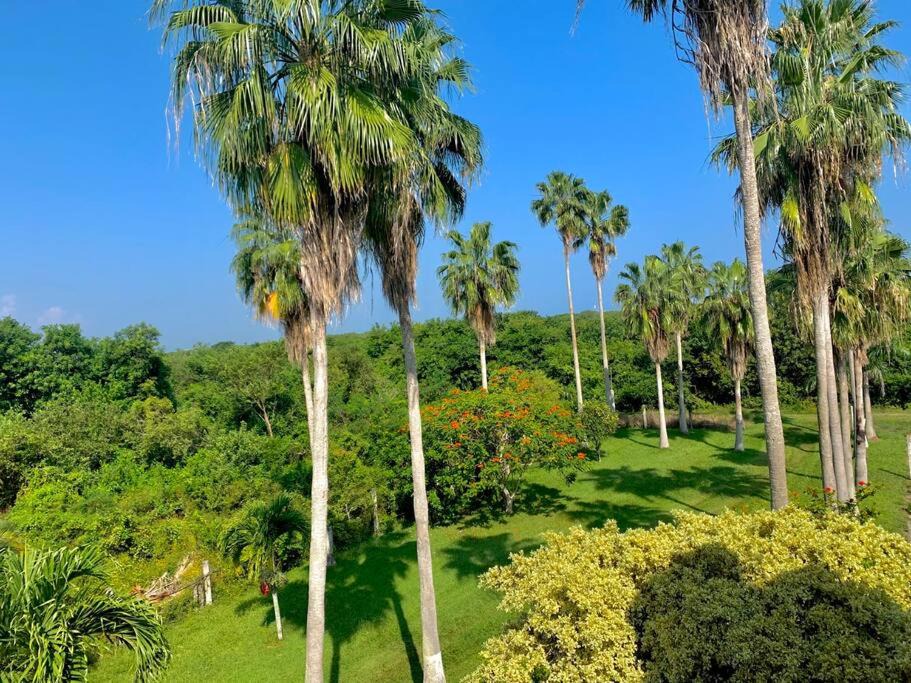 Photo of Outdoor in Tecolutla