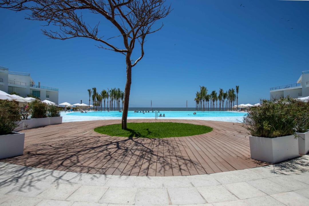 Photo of Outdoor in Flamingos