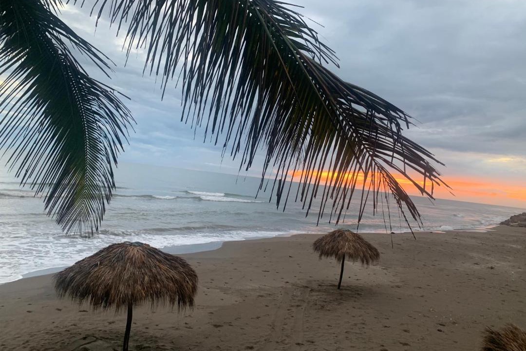 Photo of Others in Tecolutla