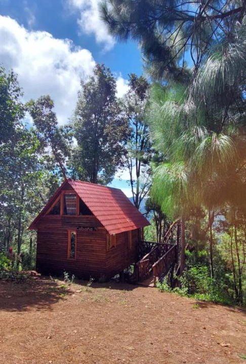 Photo of Buildings in San Jose del Pacifico