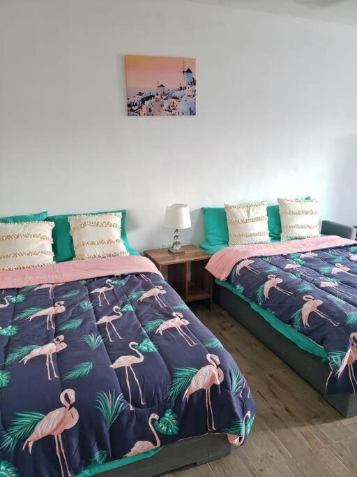 Photo of Bedroom in Sisal