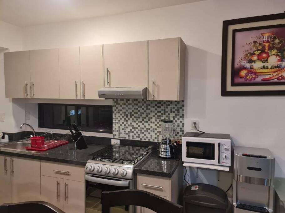 Photo of Kitchen in Downtown Mexico City
