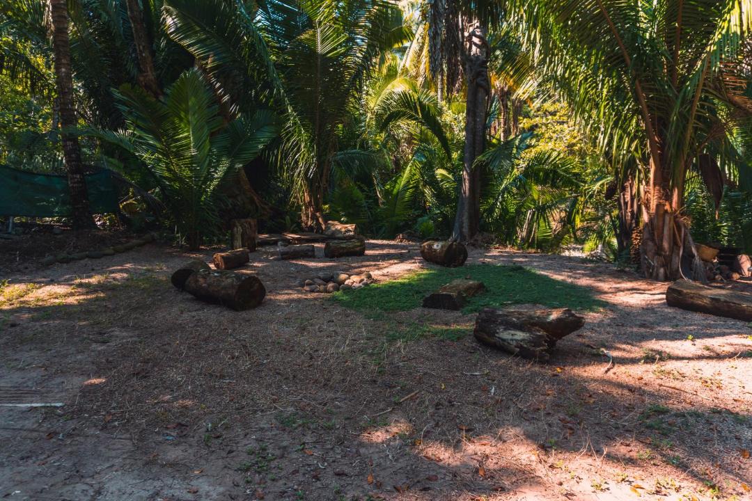 Photo of Others in Lo de Marcos