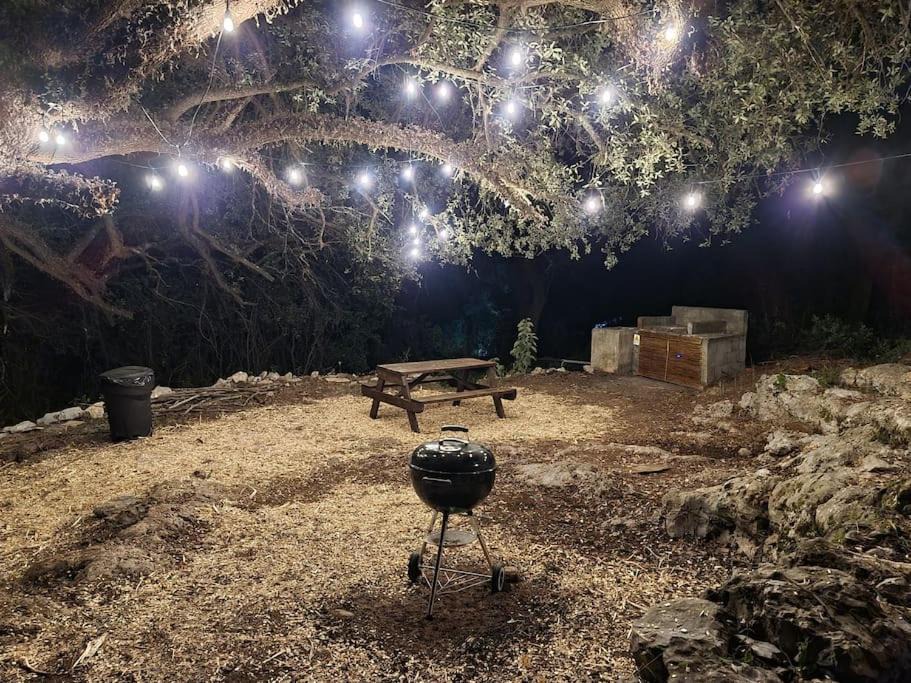 Photo of Outdoor in Cola de Caballo