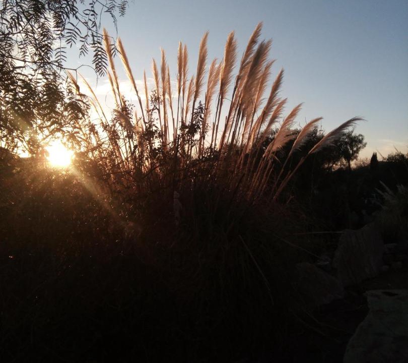 Photo of Others in Real de Catorce