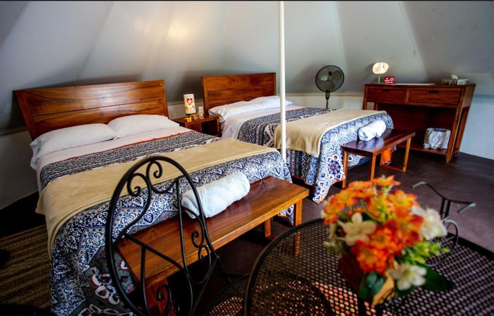 Photo of Bedroom in Homun