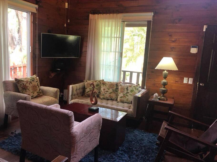 Photo of Livingroom in La Laguna
