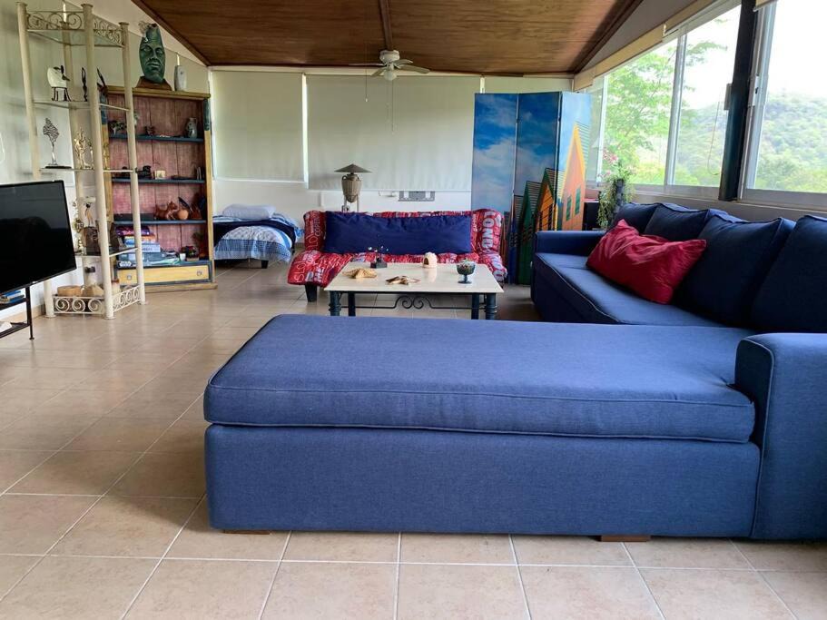 Photo of Livingroom in La Laguna