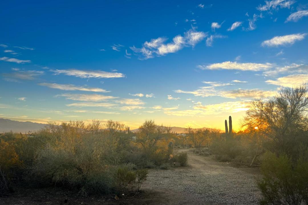 Photo of Others in Tucson