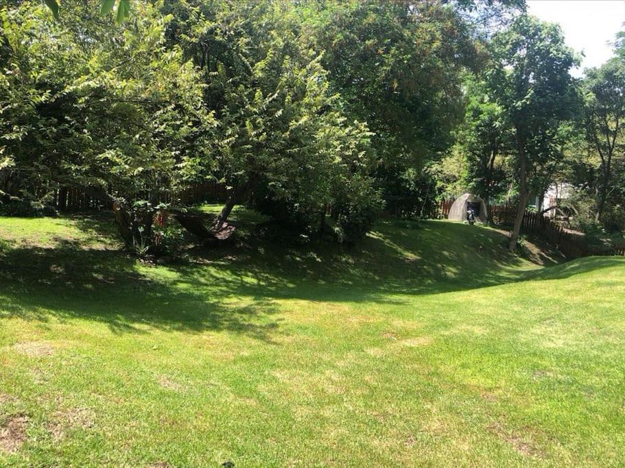 Photo of Outdoor in La Laguna