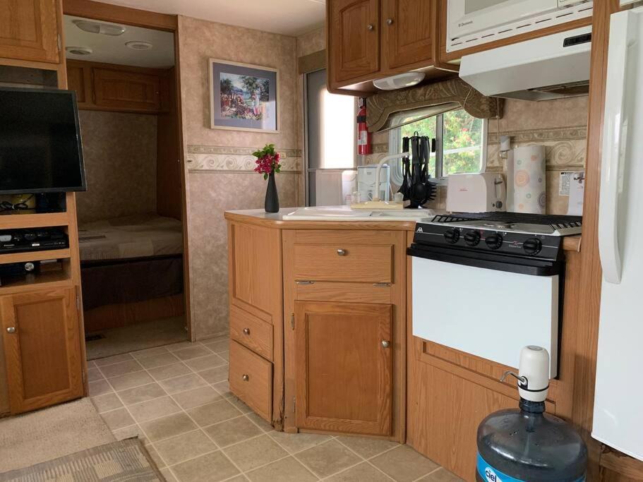 Photo of Kitchen in La Laguna