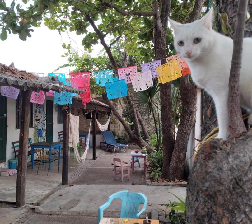 Photo of Others in Centro