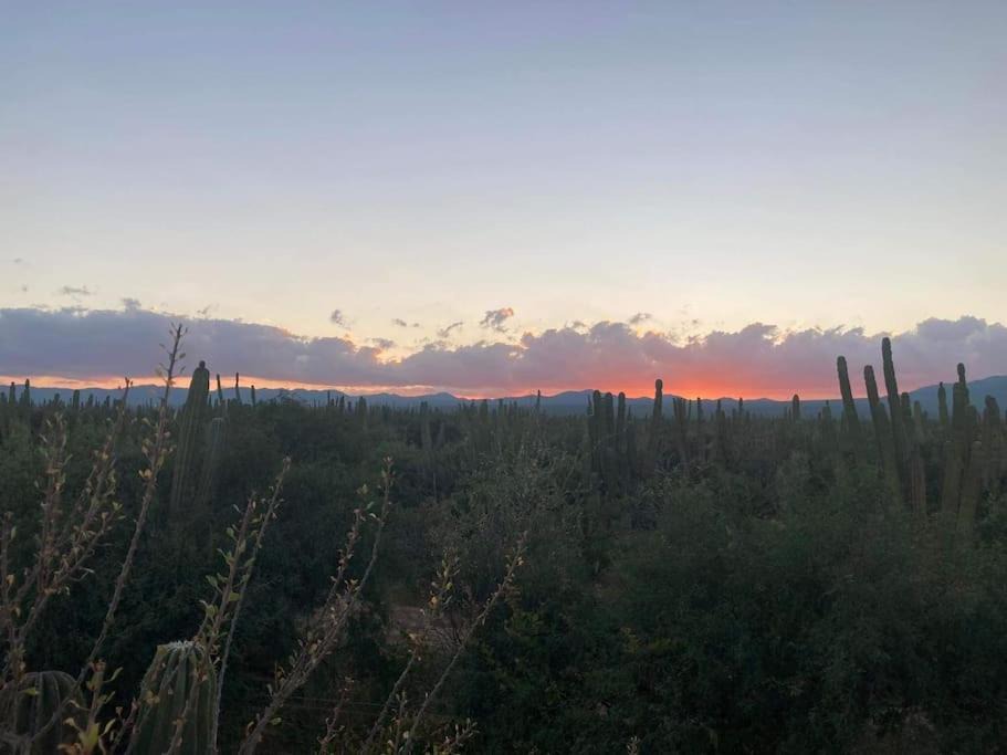 Photo of Outdoor in La Ventana