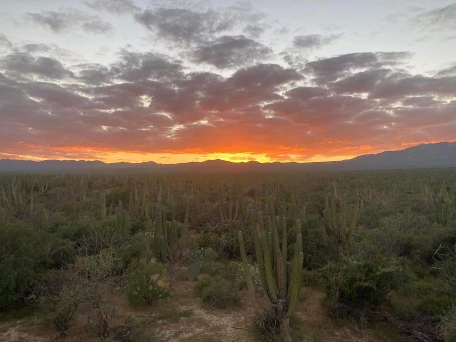 Photo of Outdoor in La Ventana