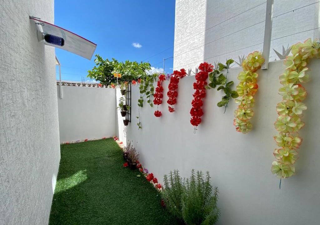 Photo of Buildings in Guaymas