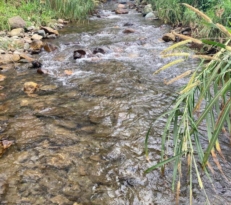 Photo of Outdoor in Tlatlauquitepec