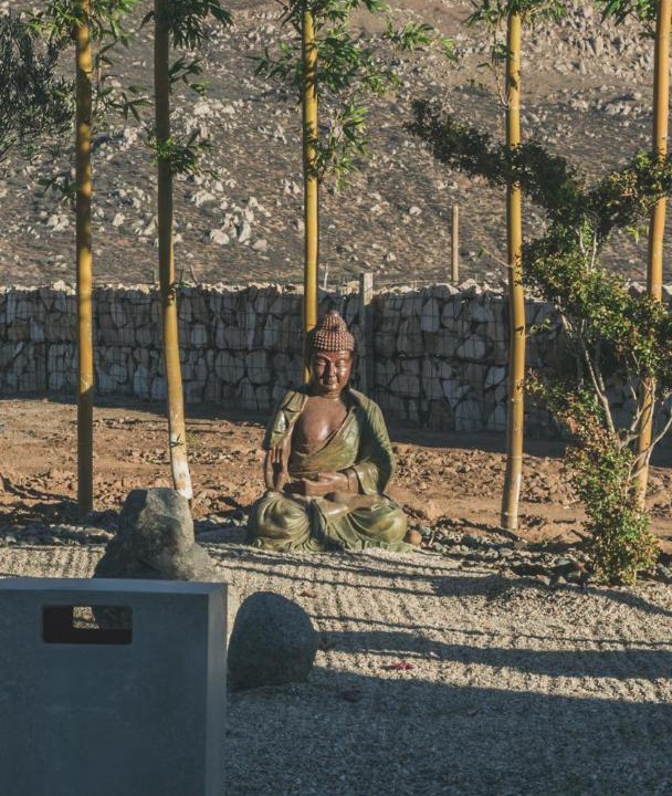Photo of Others in Valle de Guadalupe