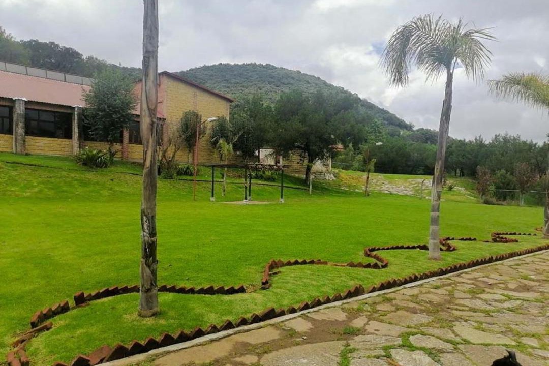 Photo of Others in Omitlan de Juarez