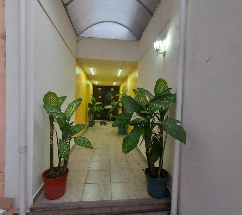 Photo of Others in Centro de la Ciudad