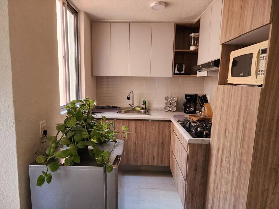 Photo of Kitchen in Zona Expo