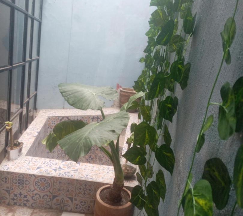 Photo of Patio Balcony in Zapopan