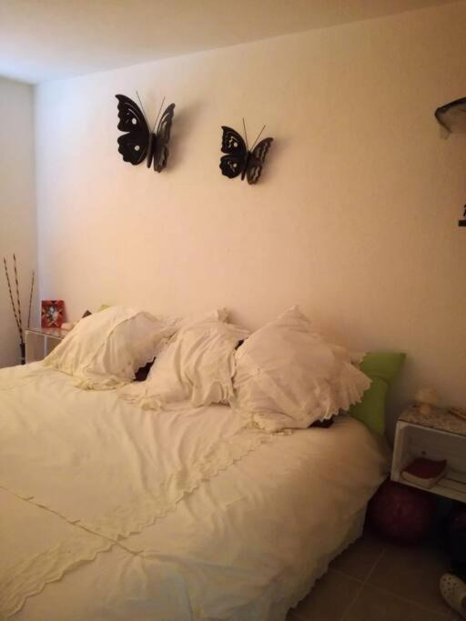 Photo of Bedroom in Pedro Escobedo
