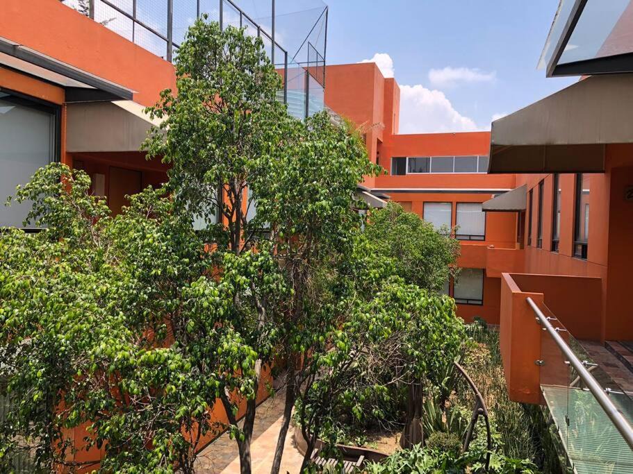 Photo of Buildings in Contadero
