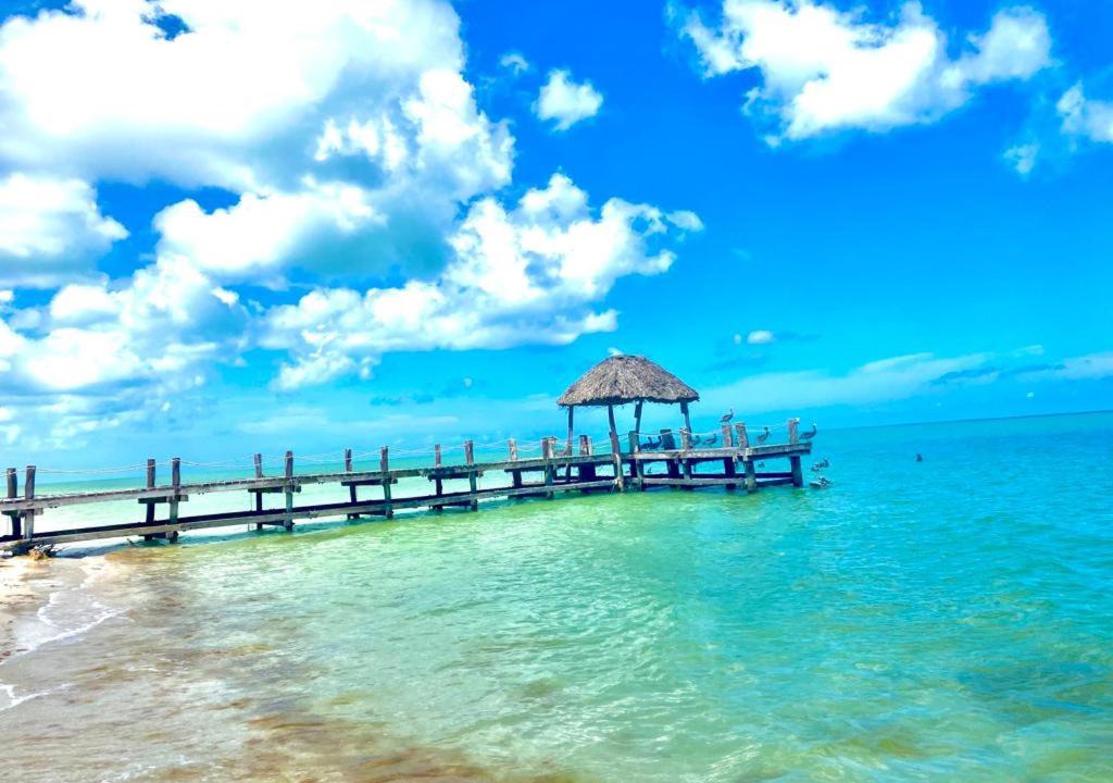 Photo of Outdoor in Celestun