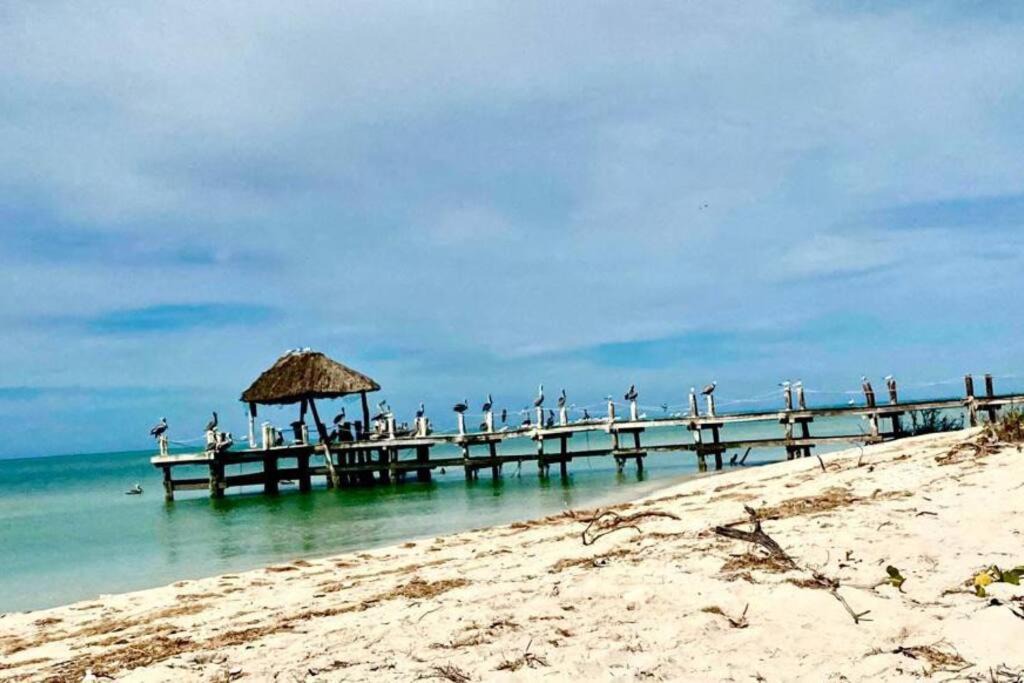 Photo of Outdoor in Celestun