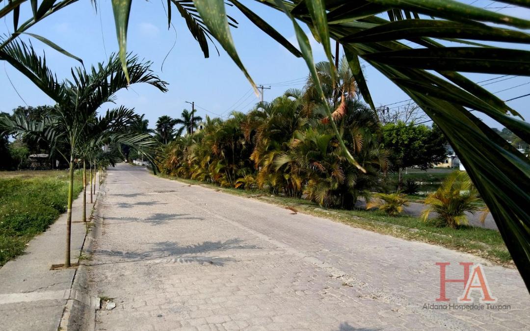 Photo of Others in Tuxpan