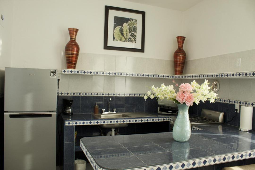 Photo of Kitchen in Lazaro Cardenas