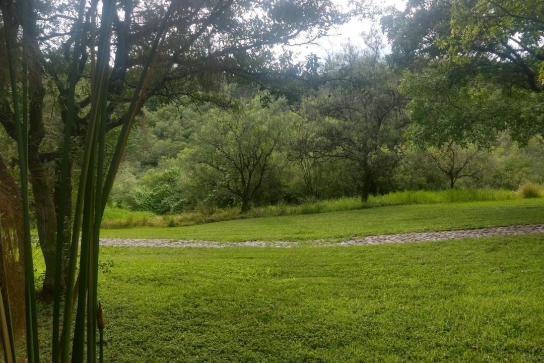 Photo of Outdoor in El Oasis Valsequillo