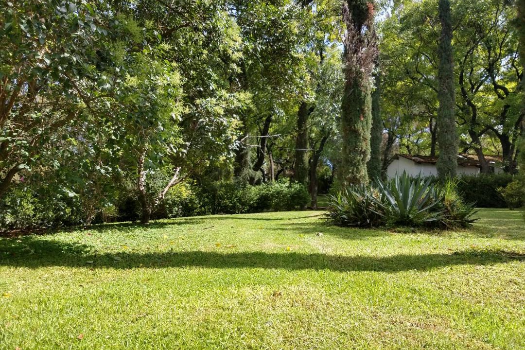 Photo of Others in El Oasis Valsequillo