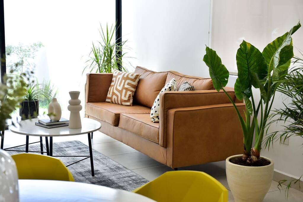 Photo of Livingroom in Aguascalientes