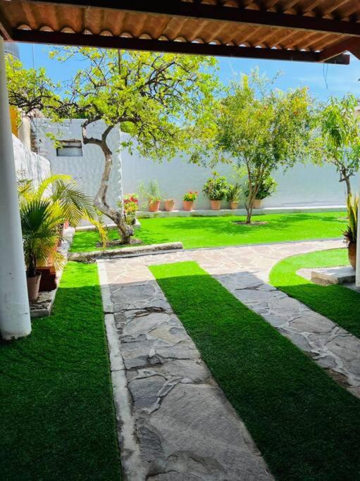 Photo of Others in Chapala
